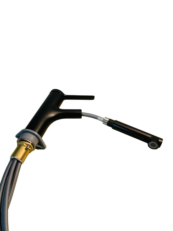 hansgrohe Zesis M33 - Küchenarmatur mit Brause Ausziehbar 2 Strahlarten Schwarz