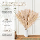 10 Stück Pampasgras Groß Trocken Pampasgras XXL Natürlich & Flauschig Deko 100cm-3