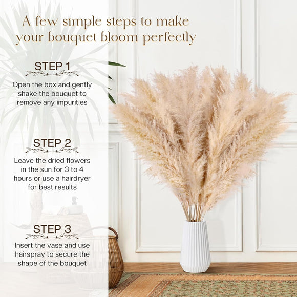10 Stück Pampasgras Groß Trocken Pampasgras XXL Natürlich & Flauschig Deko 100cm