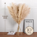 10 Stück Pampasgras Groß Trocken Pampasgras XXL Natürlich & Flauschig Deko 100cm-2