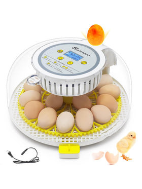 Sailnovo 18 Eier Brutautomat Vollautomatisch mit Anzeige 360°Beobachtung