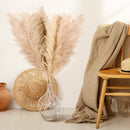 10 Stück Pampasgras Groß Trocken Pampasgras XXL Natürlich & Flauschig Deko 100cm-6