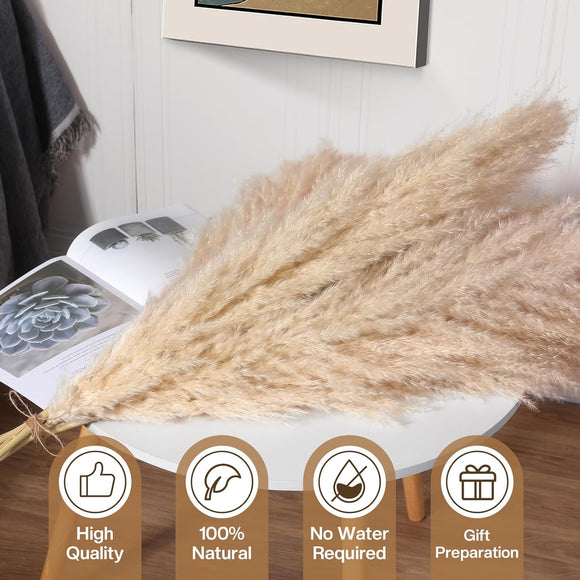 10 Stück Pampasgras Groß Trocken Pampasgras XXL Natürlich & Flauschig Deko 100cm