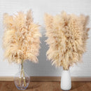 10 Stück Pampasgras Groß Trocken Pampasgras XXL Natürlich & Flauschig Deko 100cm-7