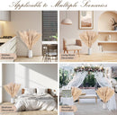 10 Stück Pampasgras Groß Trocken Pampasgras XXL Natürlich & Flauschig Deko 100cm-5