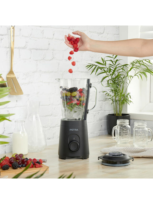 Petra Standmixer Glas 1,5L Smoothie Maker & Mixer für Küche 2 Geschwindigkeiten